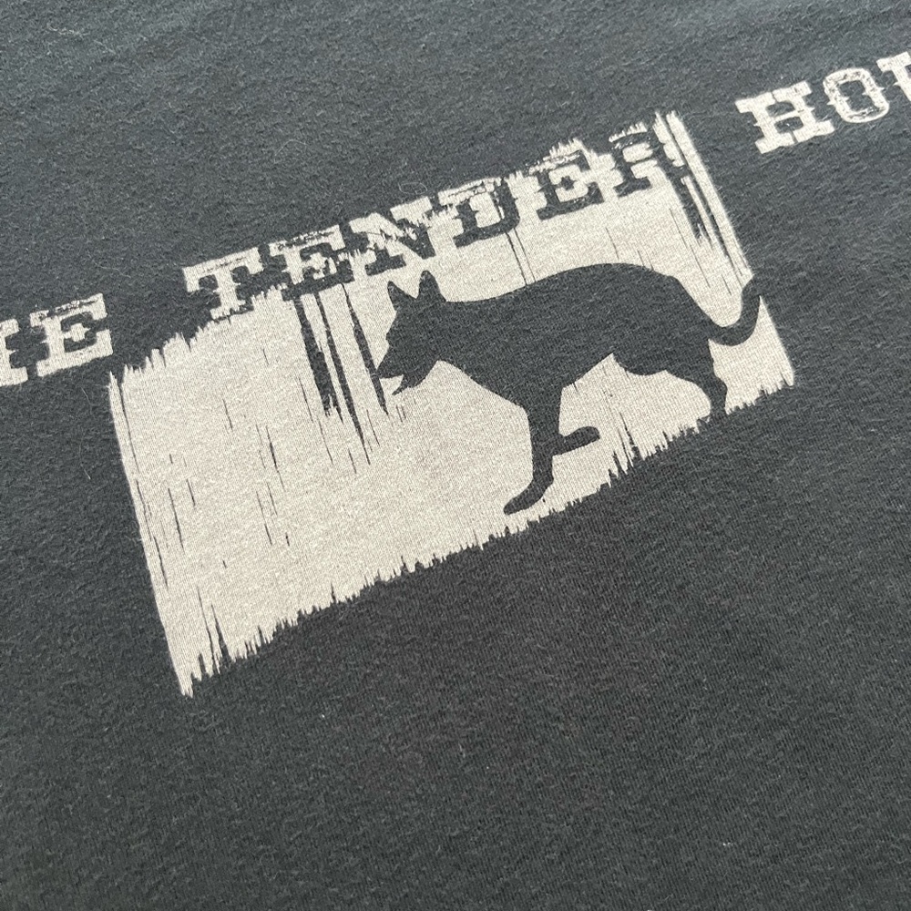 🎸 '15 Amy Ray Solo Artist Tour Tender Hour Dog Live In Seattle Album IG Soft Tee - Picture 8 of 13